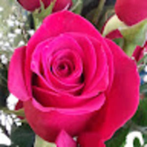 Meet your Posher, Silvia